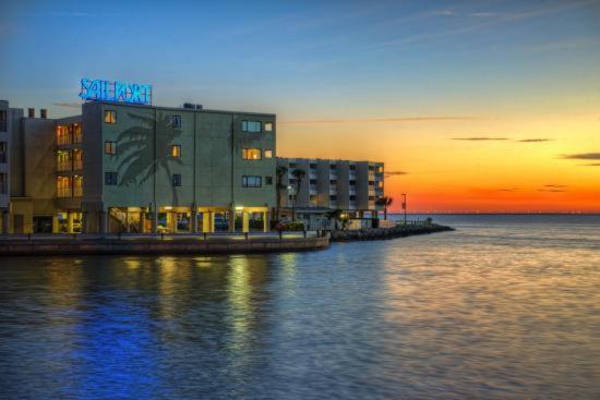 410-Gorgeous Views, Waterfront, Wifi, Pool And Close To Bucs Stadium Tampa Zewnętrze zdjęcie